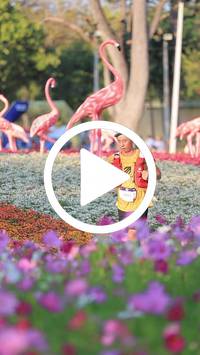 BIB:  <button type="button" onclick="openModal(27588714)" class="btn btn-primary btn-sm float-right" data-toggle="modal" data-target=".modal-high-quality">
                <i class="fa fa-download"></i> Download
                </button>